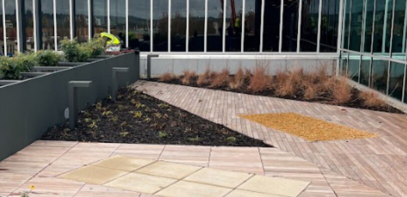 A vegetated roof on a commercial building that includes amenity space with pavers.