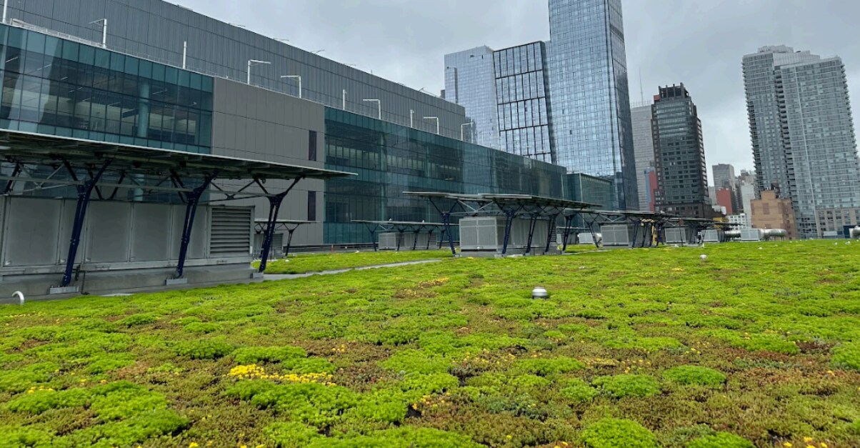 Commercial building showing a vegetated roof with Siplast products